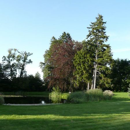 Miodowy Dwor Villa Rusinowo  Exteriör bild